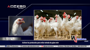 Activan los protocolos para evitar entrada de gripe aviar