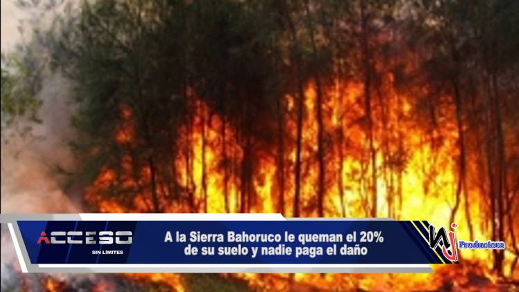 A la Sierra Bahoruco le queman el 20% de su suelo y nadie paga el daño