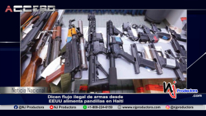 Dicen flujo ilegal de armas desde EEUU alimenta pandillas en Haití