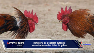 Ministerio de Deportes autoriza reanudación de las lidias de gallos