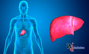 Hígado graso no alcohólico, la enfermedad crónica hepática con mayor prevalencia en el mundo