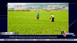 El DR-Cafta amenaza con quitar de la mesa el arroz dominicano