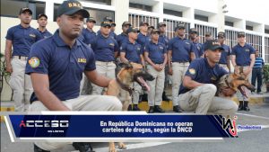 En República Dominicana no operan carteles de drogas, según la DNCD