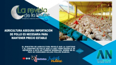 Agricultura asegura importación de pollo es necesaria para mantener precio estable