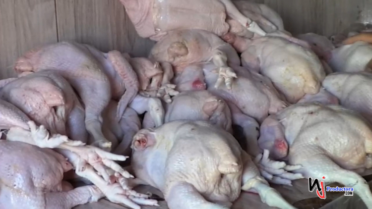 Vendedores de pollo de Moca dicen que han bajado la venta de la carne