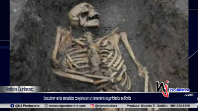 Descubren varios esqueletos completos en un cementerio de gonfoterios en Florida