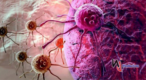 Un nuevo avance para ayudar al sistema inmunitario en lucha contra el cáncer