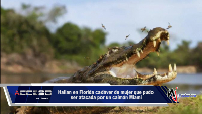 Hallan en Florida cadáver de mujer que pudo ser atacada por un caimán Miami