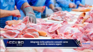 Adogranja invita población consumir carne de cerdo de manera segura