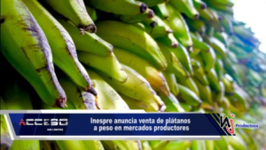 Inespre anuncia venta de plátanos a peso en mercados productores