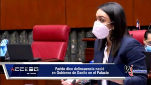 Faride dice delincuencia nació en Gobierno de Danilo en el Palacio