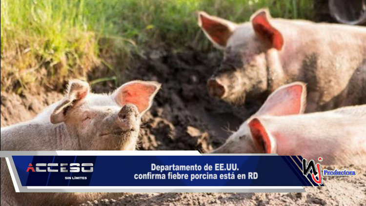 Departamento de EE.UU. confirma fiebre porcina está en RD