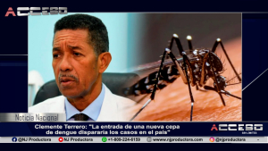 Clemente Terrero: &quot;La entrada de una nueva cepa de dengue dispararía los casos en el país&quot;