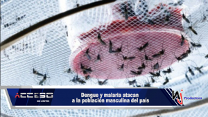 Dengue y malaria atacan a la población masculina del país