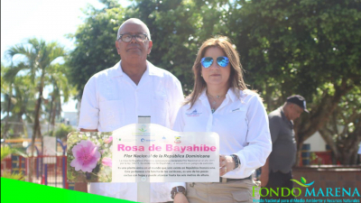 Fue inaugurado una área verde especial dedicada a la Rosa de Bayahíbe, Flor Nacional, en el Parque Municipal de Gaspar Hernández.
