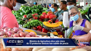 Ministro de Agricultura dice solo cinco de 15 productos básicos han subido de precio