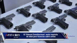 El Tribunal Constitucional anula requisito de edad para licencias sobre armas
