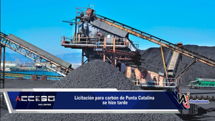 Licitación para carbón de Punta Catalina se hizo tarde