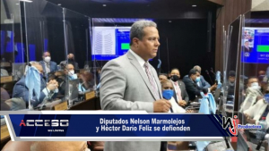 Diputados Nelson Marmolejos y Héctor Darío Feliz se defienden